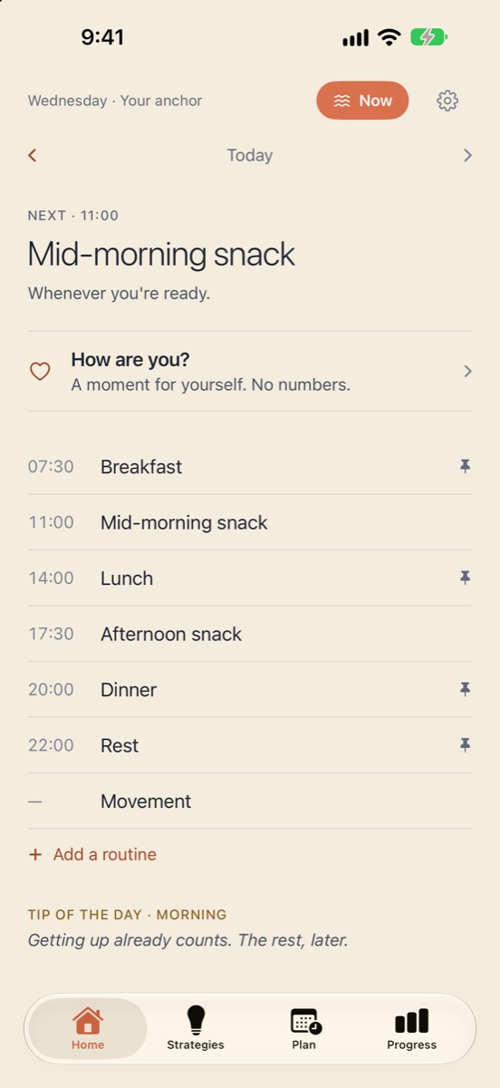 Anchor screenshot: Home: the next routine, and «Now»
